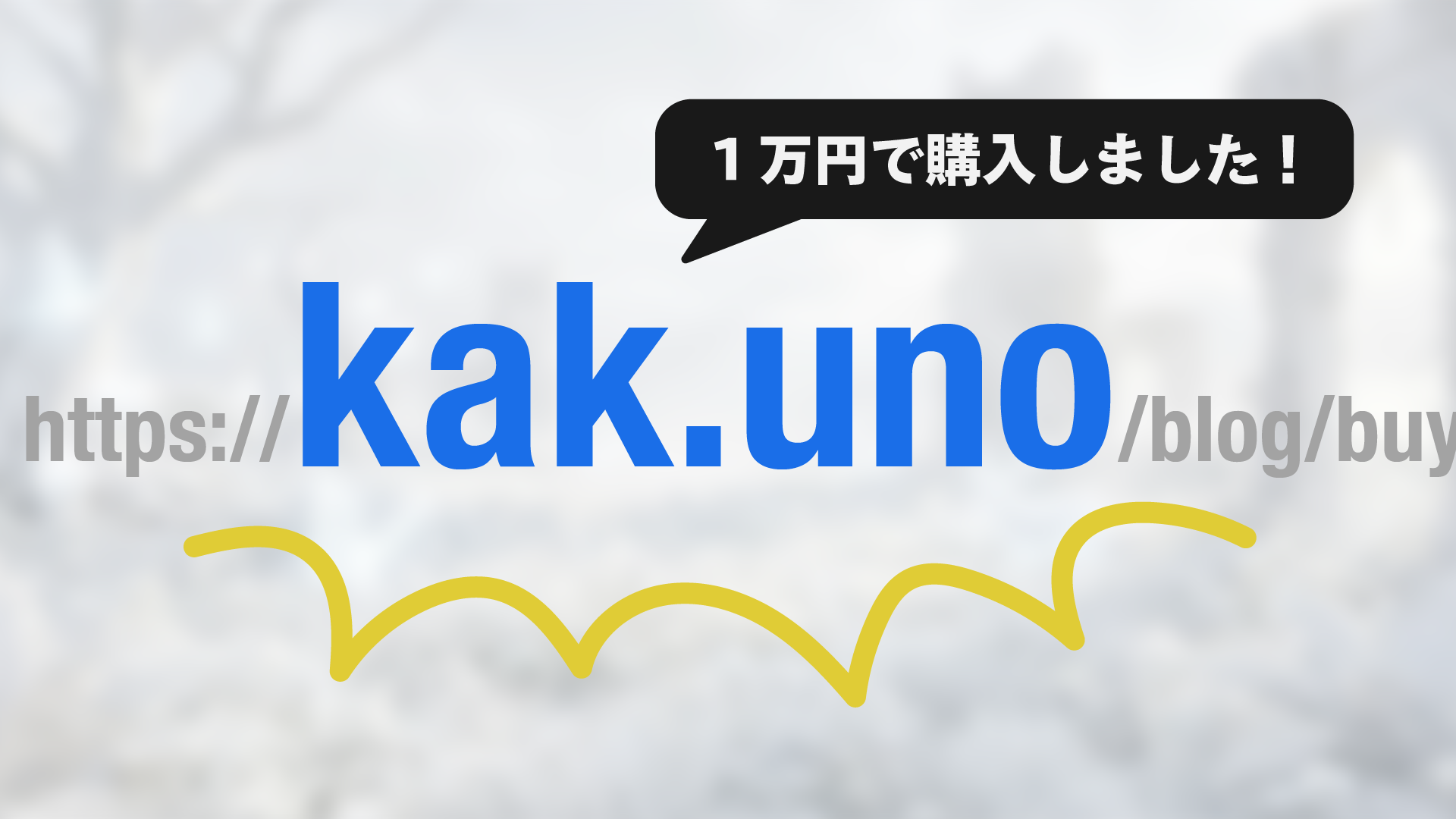 KakunoのURL(ドメイン)を1万円で購入した